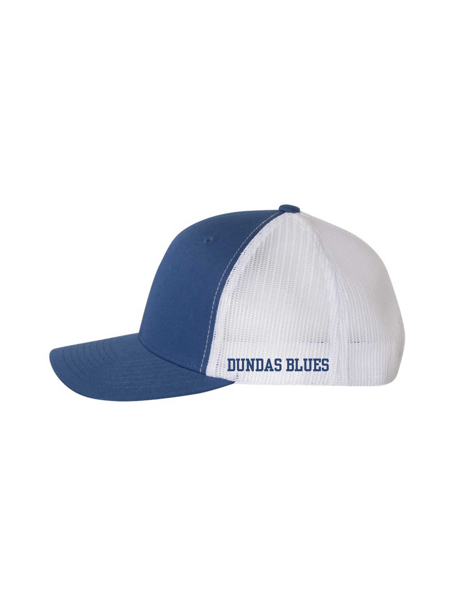 Blues Trucker Hat
